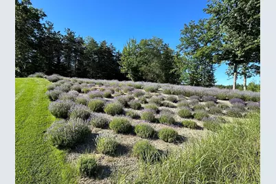 16527 Lake Michigan Drive, West Olive, MI 49460 - Photo 59