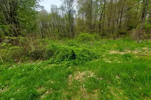 1707 W Bristol Rd, Delton, MI 49046 - Photo 17