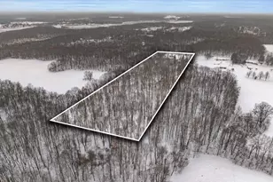 1707 W Bristol Rd, Delton, MI 49046 - Photo 47