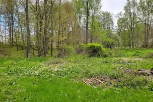 1707 W Bristol Rd, Delton, MI 49046 - Photo 15