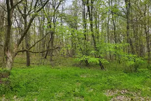 1707 W Bristol Rd, Delton, MI 49046 - Photo 25