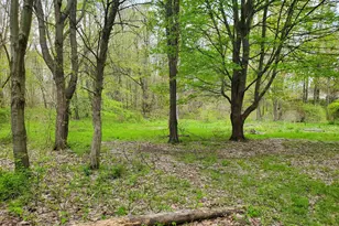 1707 W Bristol Rd, Delton, MI 49046 - Photo 15