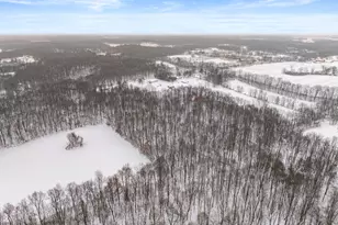 1707 W Bristol Rd, Delton, MI 49046 - Photo 49