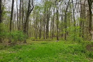 1707 W Bristol Rd, Delton, MI 49046 - Photo 17