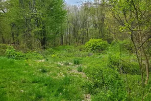 1707 W Bristol Rd, Delton, MI 49046 - Photo 13