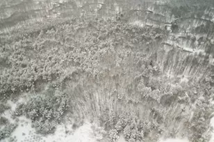 7830 Jefferson St, Hesperia, MI 49421 - Photo 45