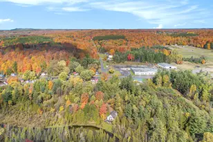 11241 Somers Ln, Honor, MI 49640 - Photo 35