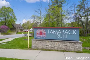 144 Tamarack Lane NE, Rockford, MI 49341 - Photo 5
