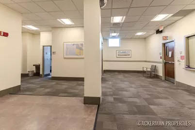 25 Sheldon Avenue SE, Grand Rapids, MI 49503 - Photo 31