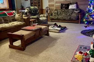 2866 N Reek Rd, Custer, MI 49405 - Photo 3