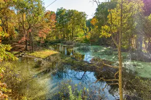 270 Wood Hills Dr, Concord, MI 49237 - Photo 53