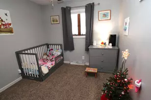 313 N Linden Ave, Fremont, MI 49412 - Photo 11