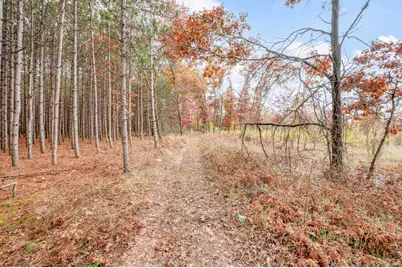 V/L 16 Mile Rd, Big Rapids, MI 49307 - Photo 17