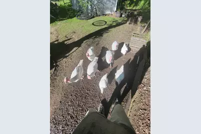 2348 Segwun Avenue SE, Lowell, MI 49331 - Photo 37