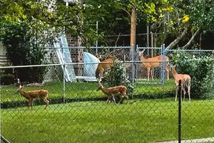 1110 Denway Dr, Kalamazoo, MI 49008 - Photo 25