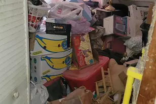 728 E Main St, Ionia, MI 48846 - Photo 15