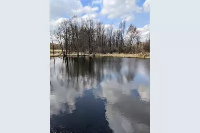 8295 D Drive S, Ceresco, MI 49033 - Photo 37