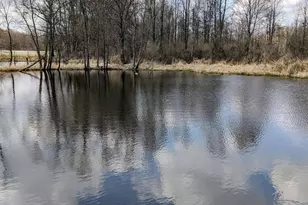 8295 D Dr S, Ceresco, MI 49033 - Photo 37