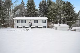 8295 D Dr S, Ceresco, MI 49033 - Photo 23
