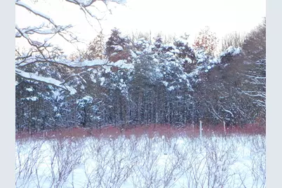 80380 42nd Street, Decatur, MI 49045 - Photo 7