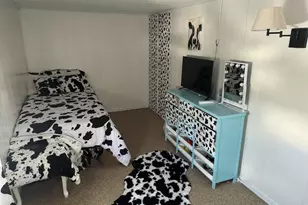 515 W Bridge St, Big Rapids, MI 49307 - Photo 47