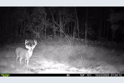 13774 Shaftsburg Road, Perry, MI 48872 - Photo 3