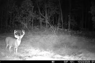 13774 Shaftsburg Rd, Perry, MI 48872 - Photo 3