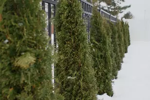 210 Market Pl, Benton Harbor, MI 49022 - Photo 67