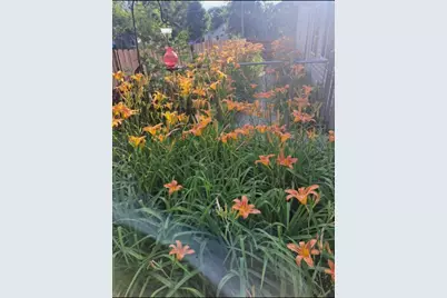 134 N 5th Street NE, Cedar Springs, MI 49319 - Photo 29