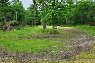 5242 S Forest Dr, Baldwin, MI 49304 - Photo 11