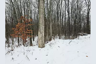 490 Kelley Road, Reading, MI 49274 - Photo 33