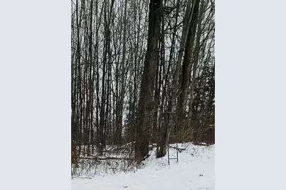 490 Kelley Road, Reading, MI 49274 - Photo 15