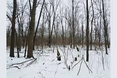 490 Kelley Road, Reading, MI 49274 - Photo 23