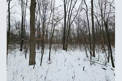 490 Kelley Road, Reading, MI 49274 - Photo 33