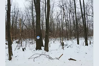 490 Kelley Road, Reading, MI 49274 - Photo 25