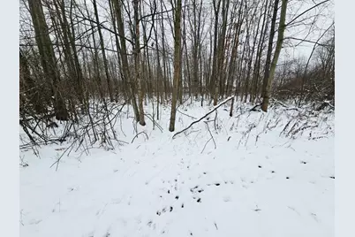 490 Kelley Road, Reading, MI 49274 - Photo 29