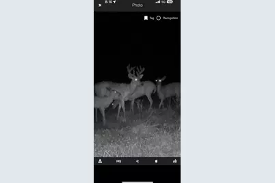 490 Kelley Road, Reading, MI 49274 - Photo 3