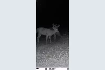 490 Kelley Road, Reading, MI 49274 - Photo 19