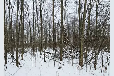 490 Kelley Road, Reading, MI 49274 - Photo 27