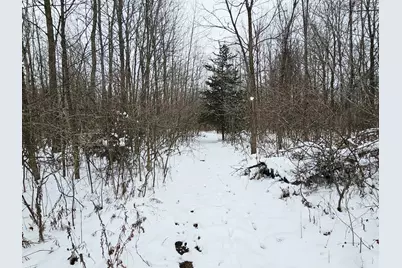 490 Kelley Road, Reading, MI 49274 - Photo 27