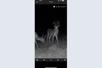 490 Kelley Road, Reading, MI 49274 - Photo 21