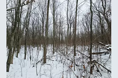 490 Kelley Road, Reading, MI 49274 - Photo 31