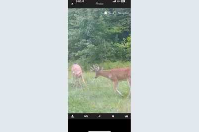 490 Kelley Road, Reading, MI 49274 - Photo 11