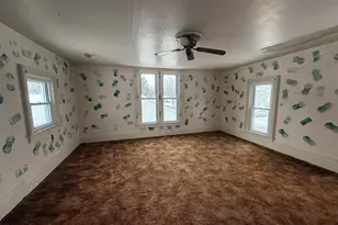 314 Cleveland St, Nashville, MI 49073 - Photo 29