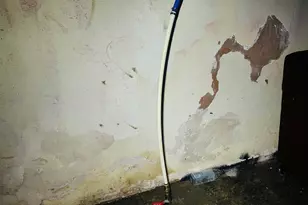 8907 Cloverlawn St, Detroit, MI 48204 - Photo 59