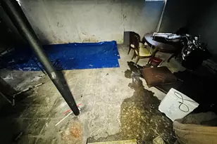 8907 Cloverlawn St, Detroit, MI 48204 - Photo 47