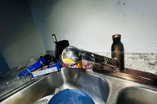 8907 Cloverlawn St, Detroit, MI 48204 - Photo 39