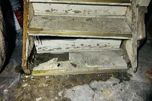 8907 Cloverlawn St, Detroit, MI 48204 - Photo 61