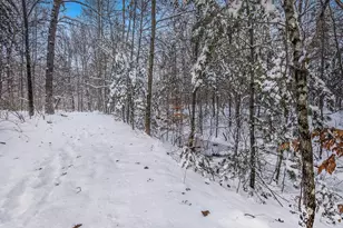 12985 Hamilton Hills Dr NE, Gowen, MI 49326 - Photo 27