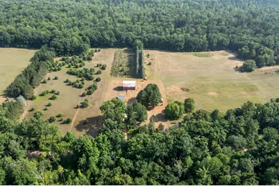 22347 5 Mile Road, Morley, MI 49336 - Photo 77